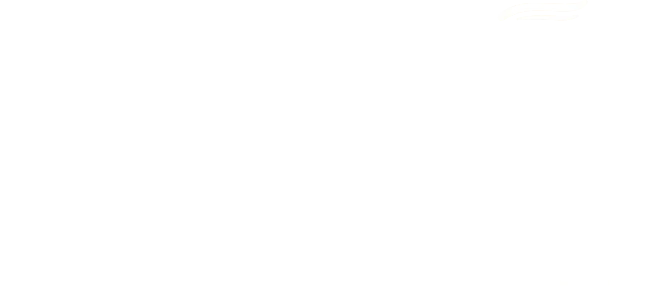 fa-brik logo wit